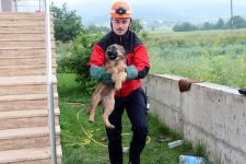 YAVRU KÖPEKLERİN İMDADINA İTFAİYE KOŞTU