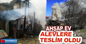 ALEV ALEV YANDI