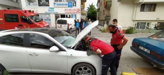ARACIN MOTORUNA SIKIŞTI