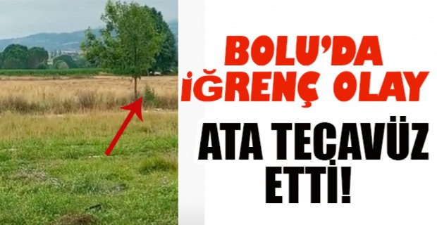 ATA TECAVÜZ ETTİ!
