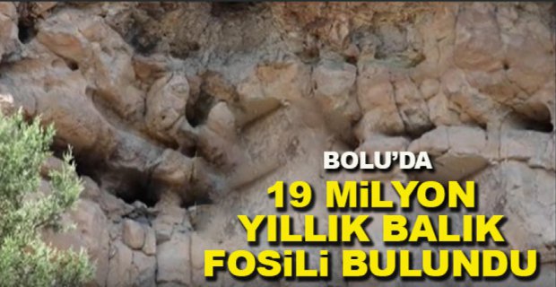 BOLU'DA 19 MİLYON YIL ÖNCESİNE YOLCULUK