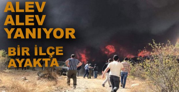 BÜYÜK ORMAN YANGINI, BİR İLÇE AYAKTA