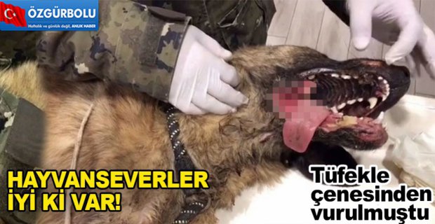 İYİ Kİ VARSINIZ!