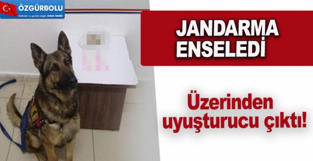 JANDARMA ENSELEDİ