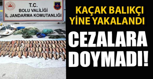 KAÇAK AVCI YİNE YAKALANDI..