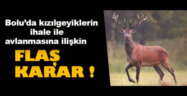 KIZIL GEYİKLERİN AVLANMASINA İLİŞKİN FLAŞ KARAR