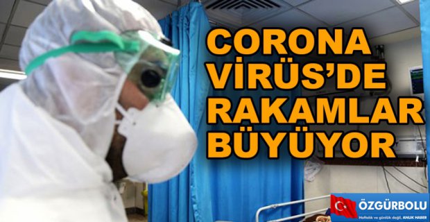 RAKAMLAR BÜYÜYOR