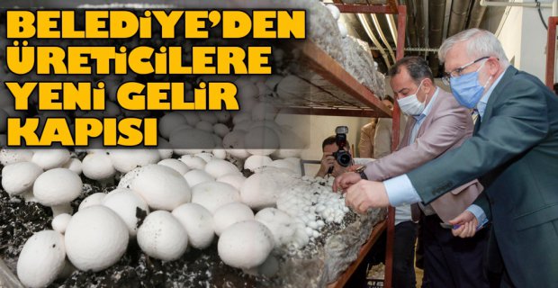 ÜRETİCİLERE YENİ GELİR KAPISI