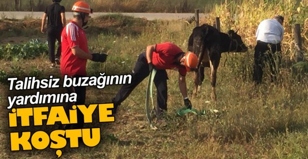 YARDIMINA İTFAİYE KOŞTU