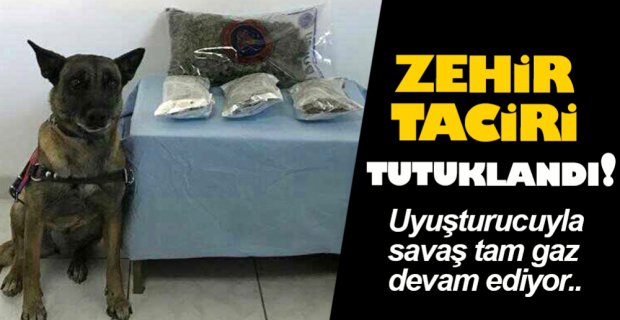 ZEHİR TACİRİ TUTUKLANDI