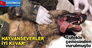 İYİ Kİ VARSINIZ!