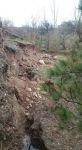 MUDURNU'DA HEYELAN..