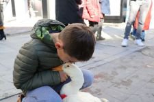 SEVGİNİN BÖYLESİ