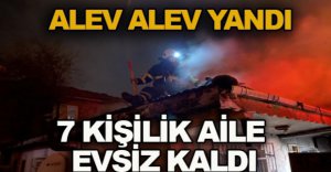 ALEV ALEV YANDI 