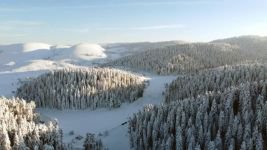 BOLU YERLİ YABANCI TATİLCİ AKININA UĞRADI