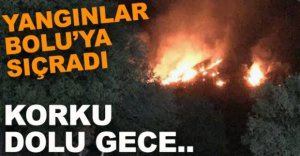 BOLU'DA KORKU DOLU GECE