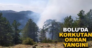 BOLU'DA KORKUTAN ORMAN YANGINI