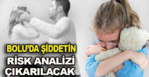 BOLU'DA ŞİDDETİN RİSK ANALİZİ ÇIKARILACAK