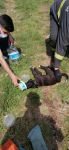 BOLU'DA YAVRU KÖPEK SON ANDA KURTARILDI