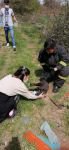 BOLU'DA YAVRU KÖPEK SON ANDA KURTARILDI