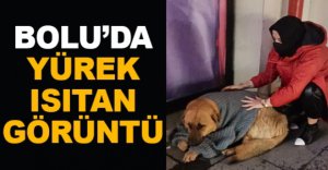 BOLU'DA YÜREK ISITAN GÖRÜNTÜ