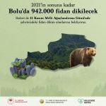 BOLU'YA 942 BİN FİDAN DİKİLECEK