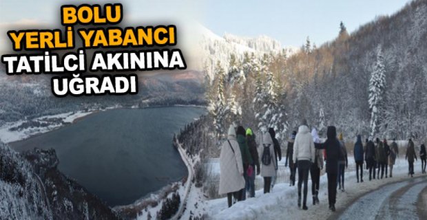 BOLU YERLİ YABANCI TATİLCİ AKININA UĞRADI