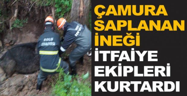 ÇAMURA SAPLANAN İNEĞİ EKİPLER KURTARDI