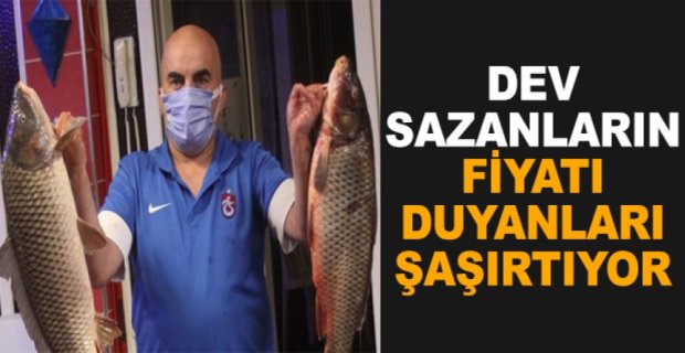 DEV SAZANLARIN FİYATI ŞAŞIRTIYOR