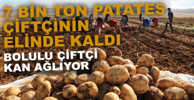 FİDAN'DAN HÜKÜMETE ELEŞTİRİ