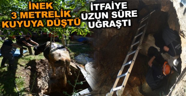 KURTARMAK İÇİN UZUN SÜRE UĞRAŞTILAR