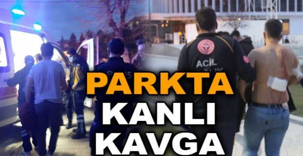 PARKTA KANLI KAVGA