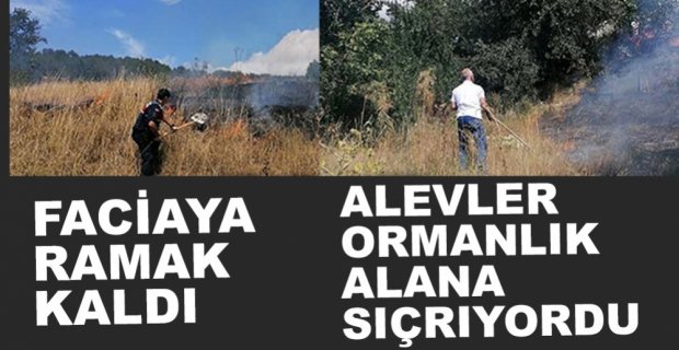 TARLALIK ALANDA KORKUTAN YANGIN