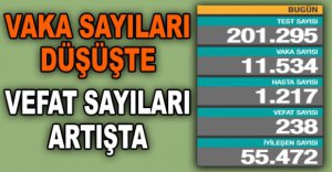 GÜNLÜK KORONAVİRÜS TABLOSU AÇIKLANDI 