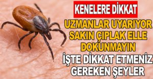 KENELERE DİKKAT 