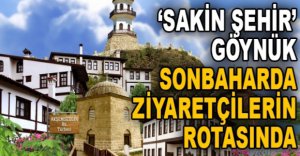 ‘SAKİN ŞEHİR' GÖYNÜK SONBAHARDA ZİYARETÇİLERİN ROTASINDA