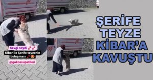 ŞERİFE TEYZE KİBAR'A KAVUŞTU
