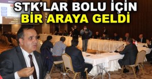 STK'LAR BOLU İÇİN BİR ARAYA GELDİ