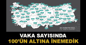 VAKA SAYISINDA 100'ÜN ALTINA İNEMEDİK