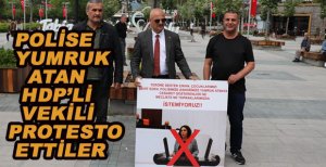 ALAN'DAN POLİSE YUMRUK ATAN HDP'Lİ VEKİLE TEPKİ