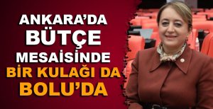 ANKARA'DA BÜTÇE MESAİSİNDE BİR KULAĞI DA BOLU'DA