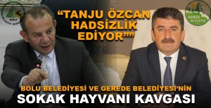 BOLU BELEDİYESİ VE GEREDE BELEDİYESİ'NİN SOKAK HAYVANI KAVGASI
