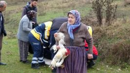 BOLU'DA ABANT YOLUNDA FECİ KAZA