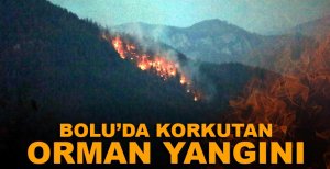 BOLU'DA KORKUTAN YANGIN