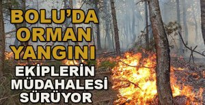 BOLU'DA ORMAN YANGINI