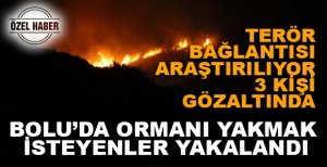 BOLU'DA ORMANI YAKMAK İSTEYENLER YAKALANDI