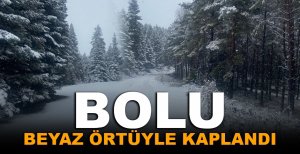 BOLU'NUN DAĞLARI BEYAZ ÖRTÜYLE SÜSLENDİ