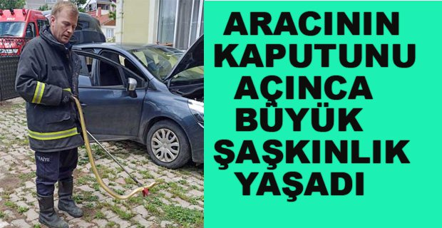 ARACIN KAPUTUNU AÇINCA BÜYÜK ŞAŞKINLIK YAŞADI