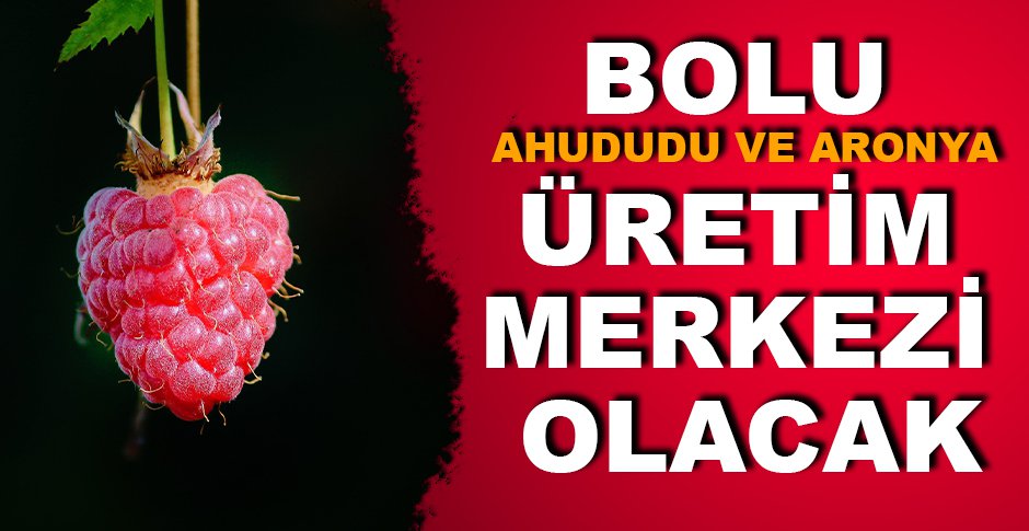 ​BOLU AHUDUDU VE ARONYA ÜRETİM MERKEZİ OLACAK