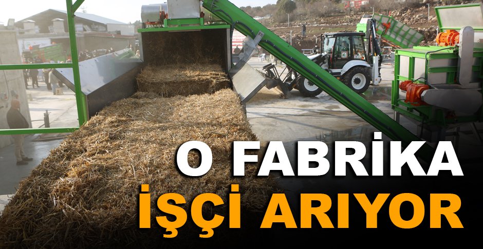 BOLU'DA O FABRİKA İŞÇİ ARIYOR